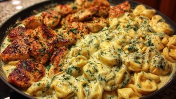 Easy Creamy Velveeta Chicken Tortellini with Mozzarella Garlic Sauce One-Pot Dinner