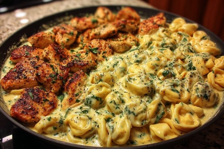 Easy Creamy Velveeta Chicken Tortellini with Mozzarella Garlic Sauce One-Pot Dinner